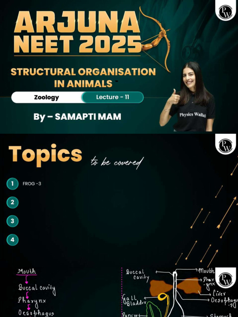 Structural Organization in Animals 11 - Class Notes - Arjuna NEET 2025 ...