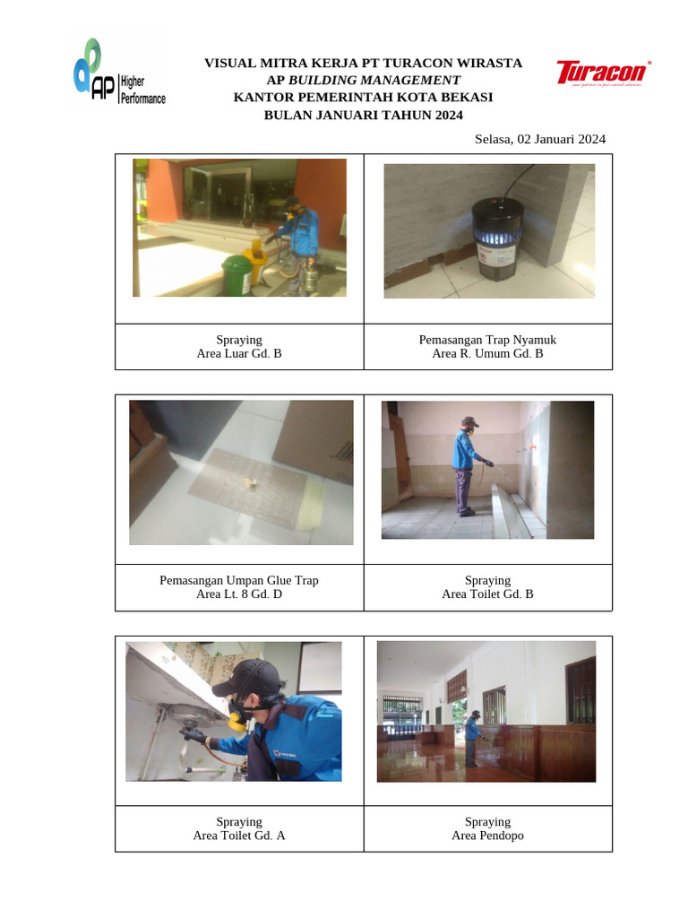 Format Visual New | PDF