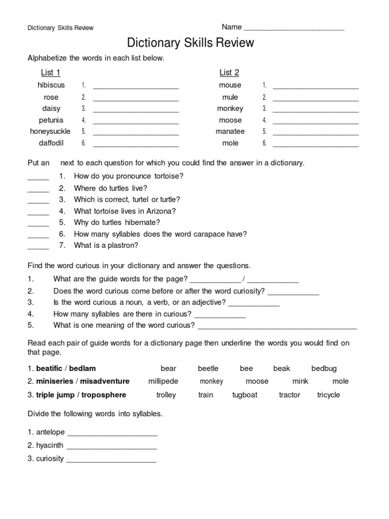 Dictionary Skills Review Worksheet | PDF | Turtle | Linguistics