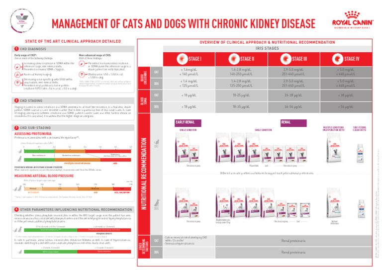 Management of Cats and Dogs With Chronic Kidney Disease | PDF