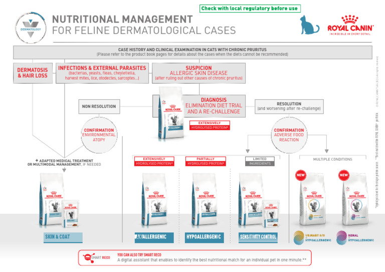 Image showcasing Nutritional Management For Feline Dermatological Cases | PDF