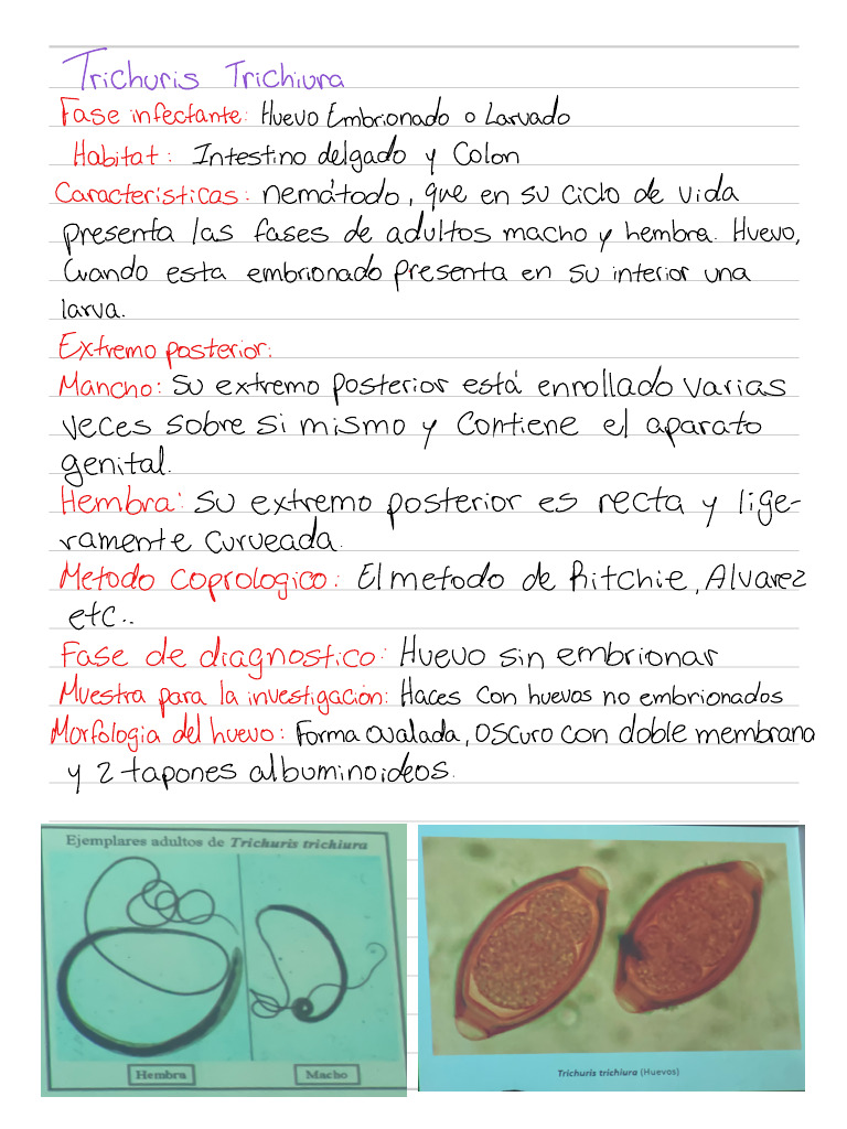 Lab Parasitó 4 | PDF
