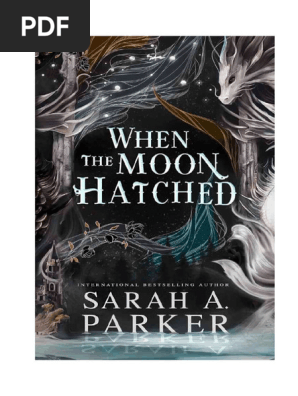 Açougue é interditado em Cachoeira do Sul após flagrante de carne imprópria e condições insalubres