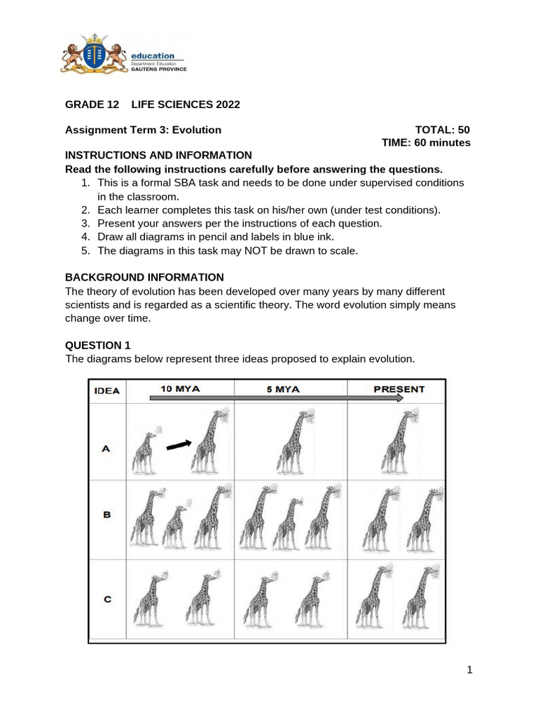 Term 3 GR 12 Assignment 2022 - Edited-2 | PDF