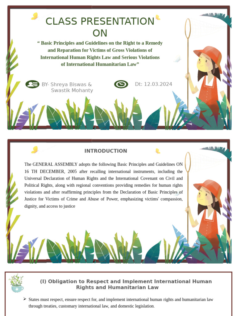 Guidelines for Victims' Rights to Remedies | PDF | Human Rights ...