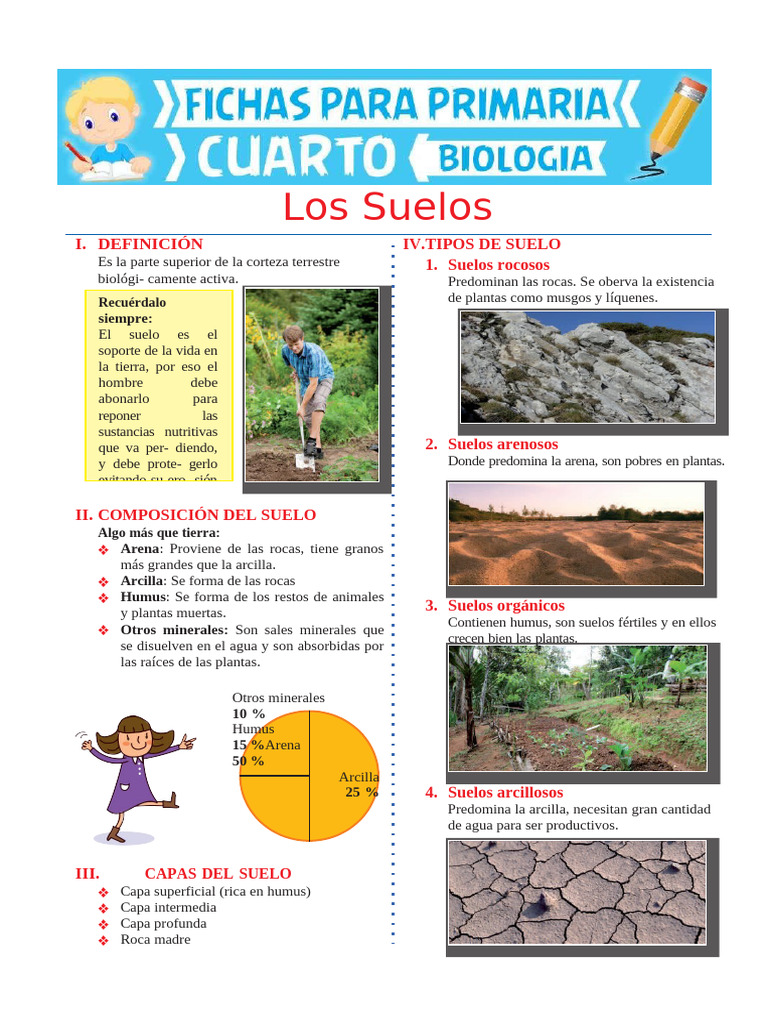 Los Suelos para Cuarto de Primaria 1 | PDF | Suelo | Ciencia y matemáticas