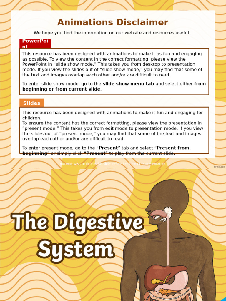 Digestive-System-Powerpoint-Google-Slides-3rd-5th-Grade-Us-S-1691615169 ...