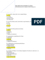 Anatomia Preguntas Dominical 16