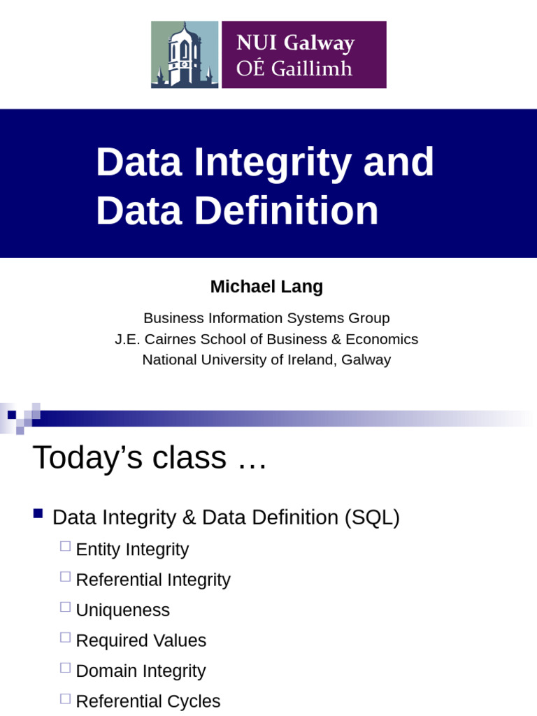 Data Integrity & Data Definition | PDF