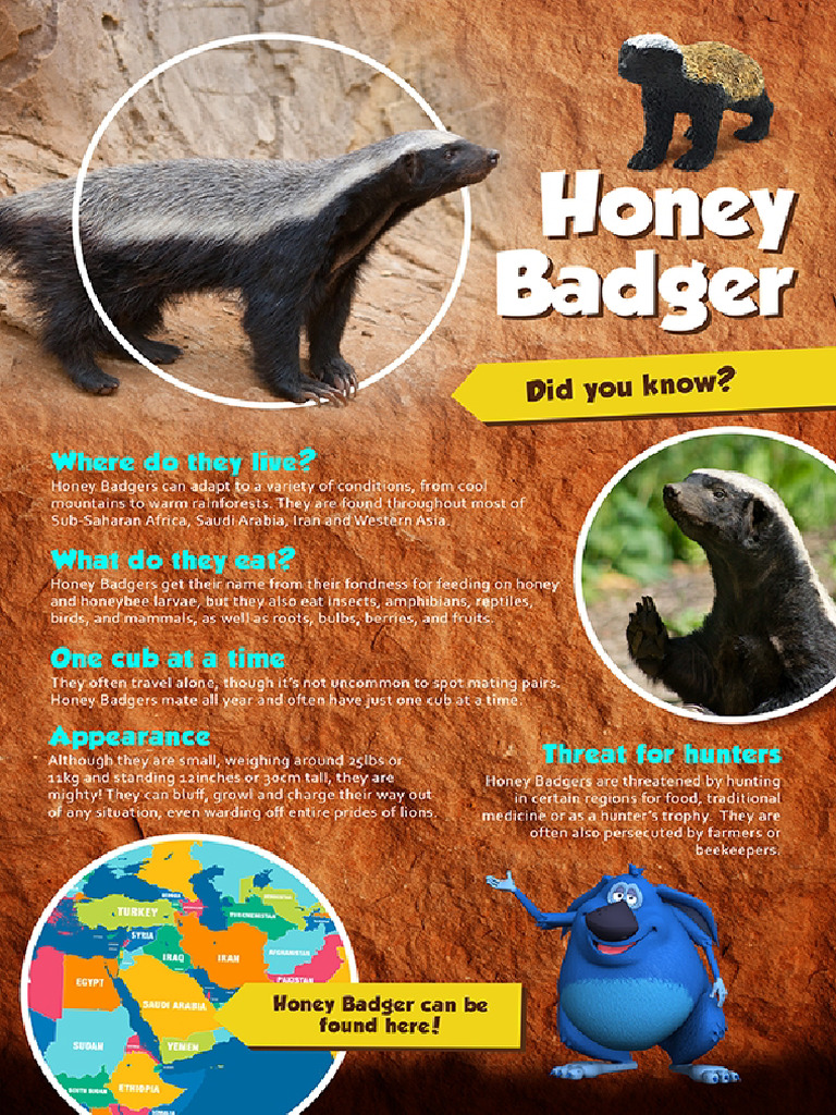 Yowie Animal Fact Sheets Honey Badger 2020 12 17 | PDF