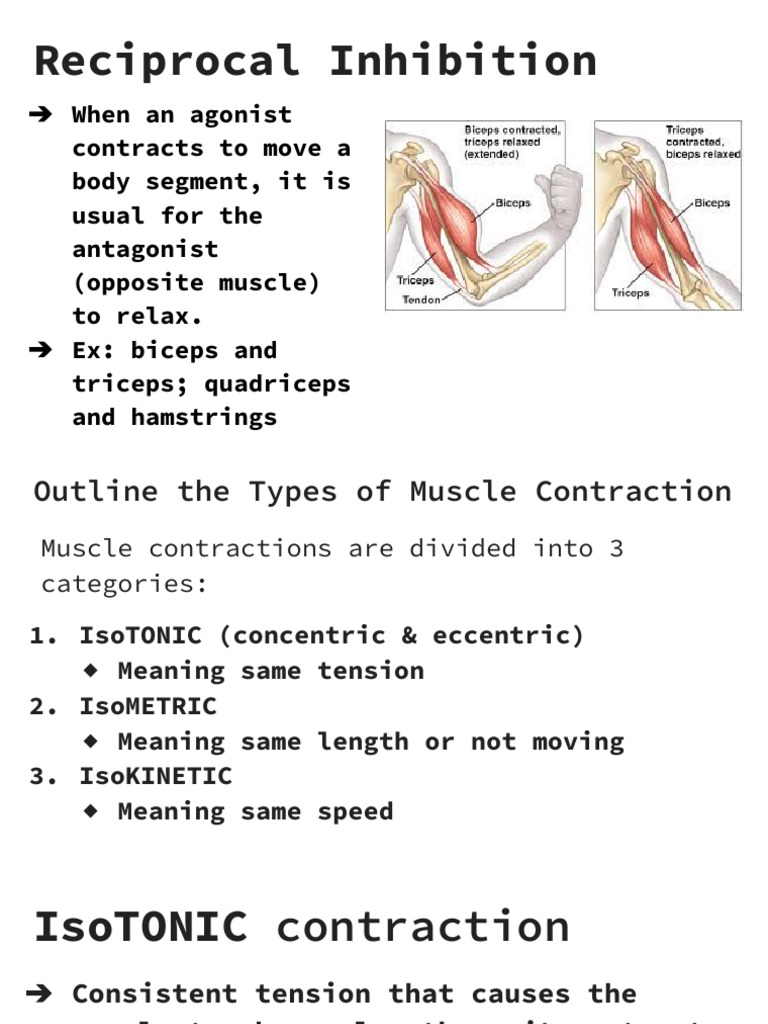 4.2 Joint & Movement Type Presentation | PDF | Anatomical Terms Of ...