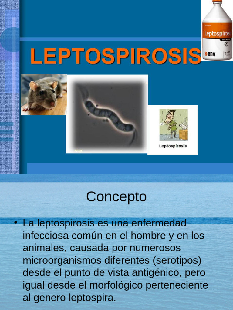 Photo inspiration: Leptospiroscopy Infection Reference: Lepto Spiros Is