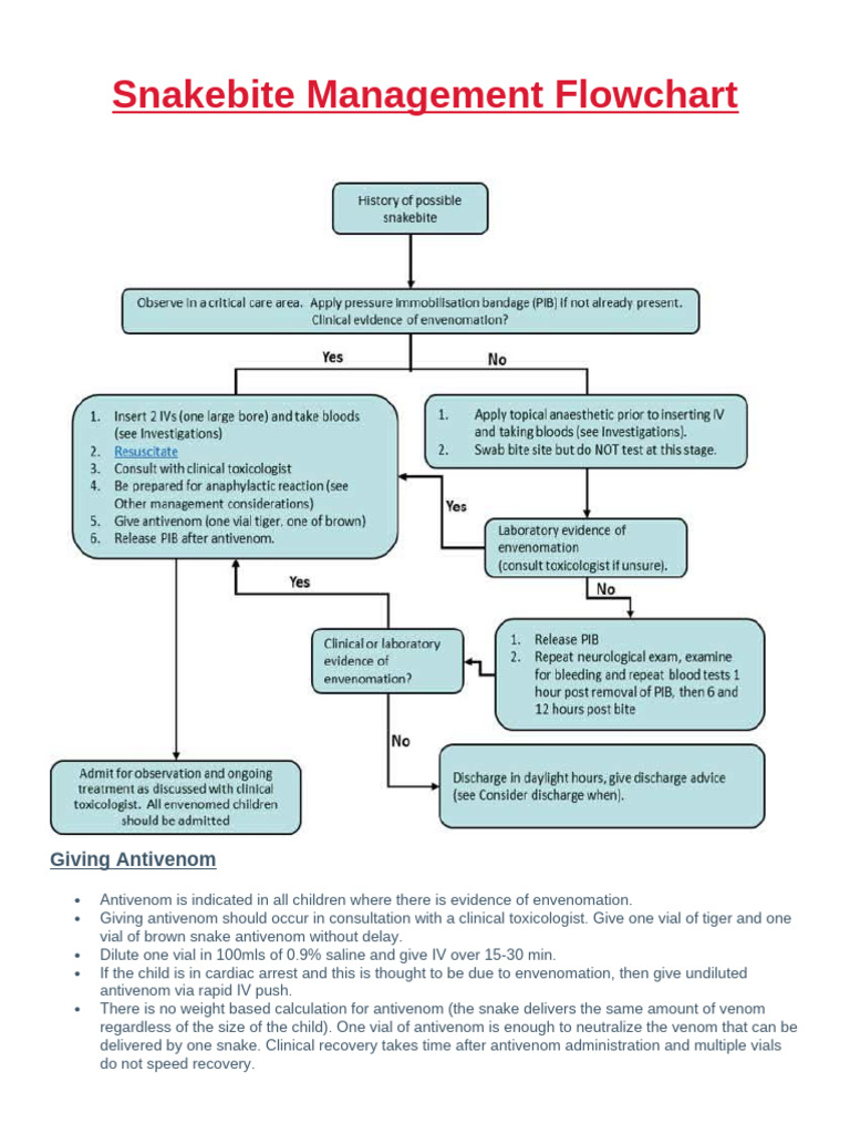 Snakebite Management Flowchart | PDF