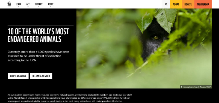 FireShot Capture 177 - 10 of The World's Most Endangered Animals - WWF ...