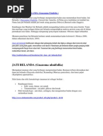 Download TANAMAN JATI BELANDA by Febria Indry Mochin SN76207101 doc pdf