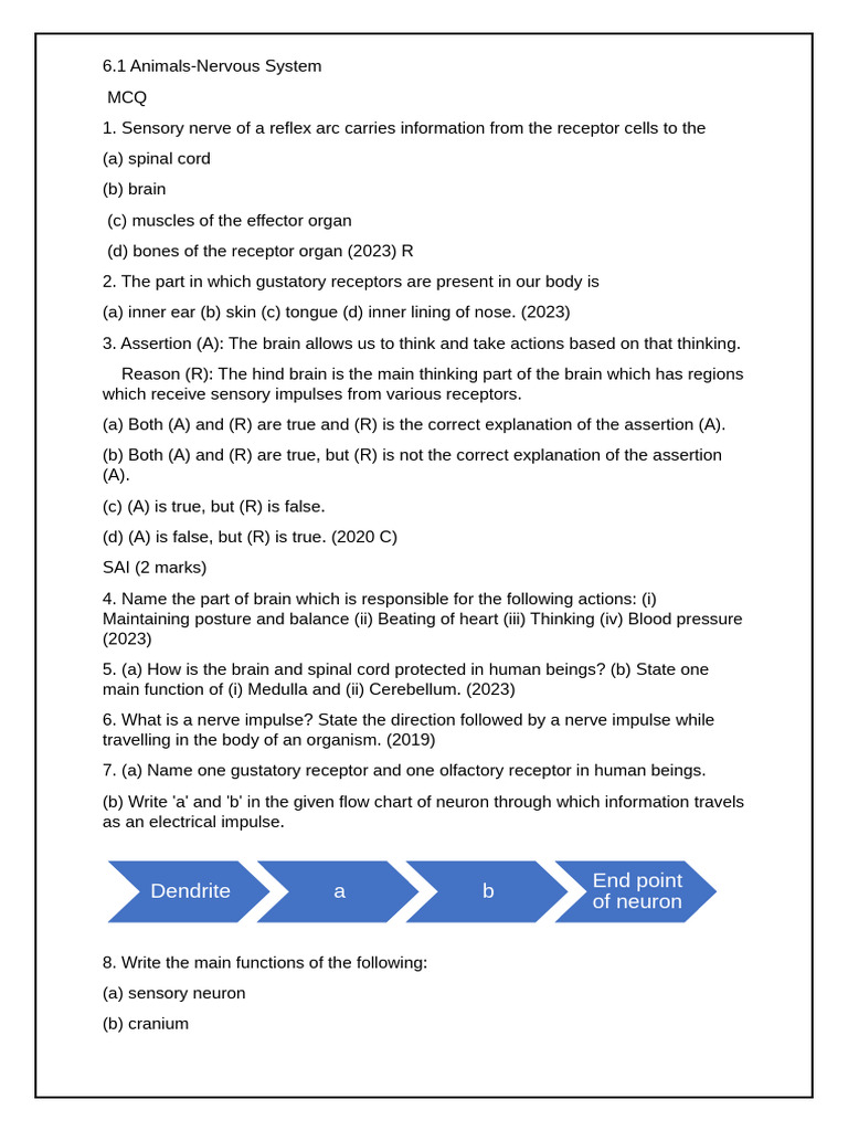 Class 10 Test | PDF