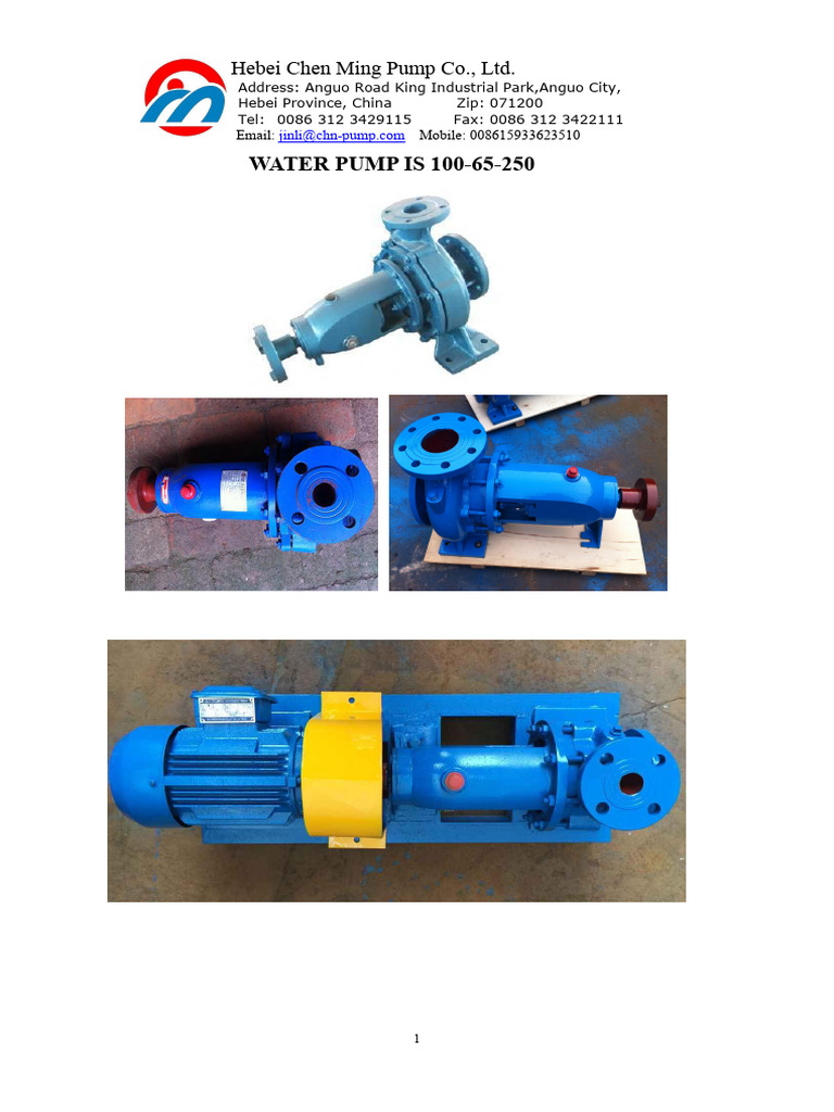 IS 100-65-250 Centrifugal Pump Overview | PDF | Pump | Gases