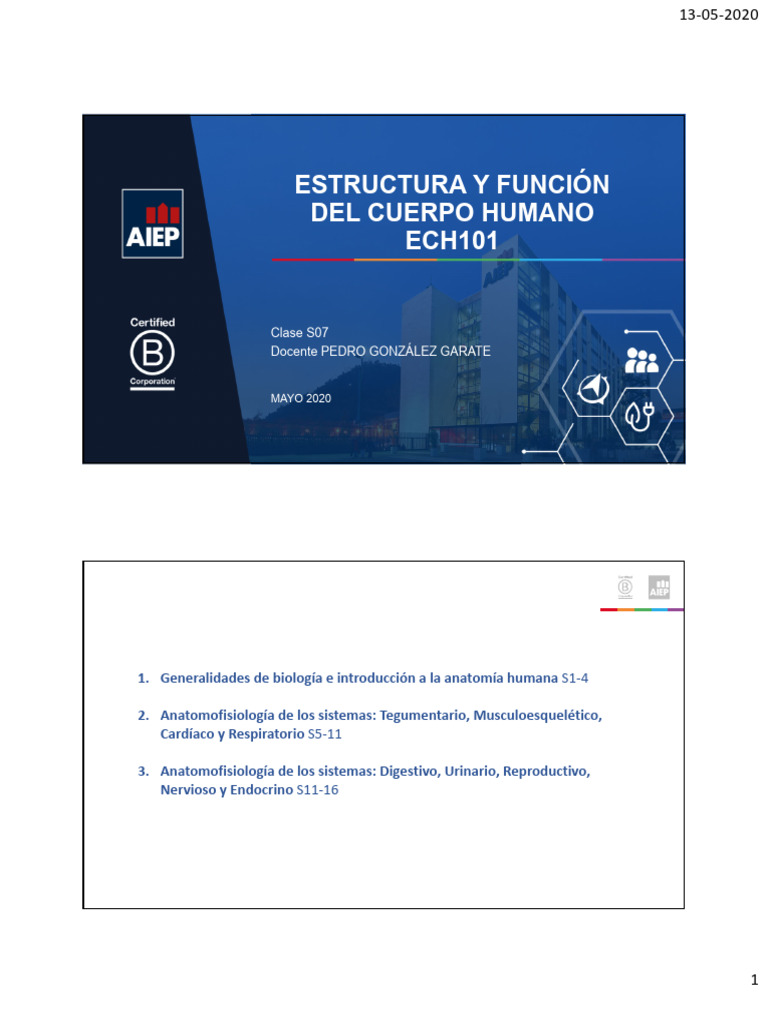 CS07 | PDF