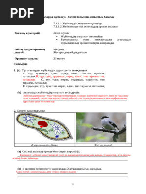 Ұйқыдағы порно видео онлайн