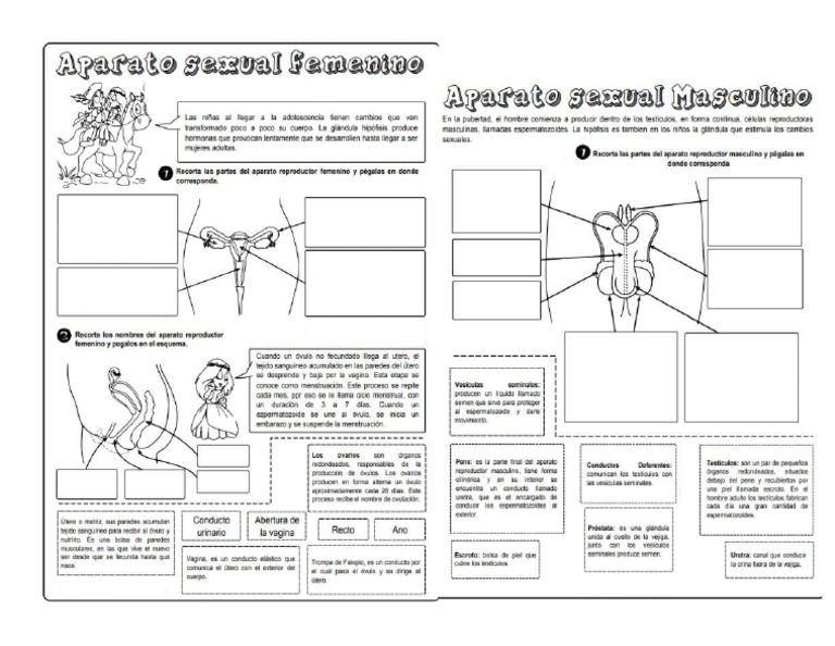 Arfm | PDF