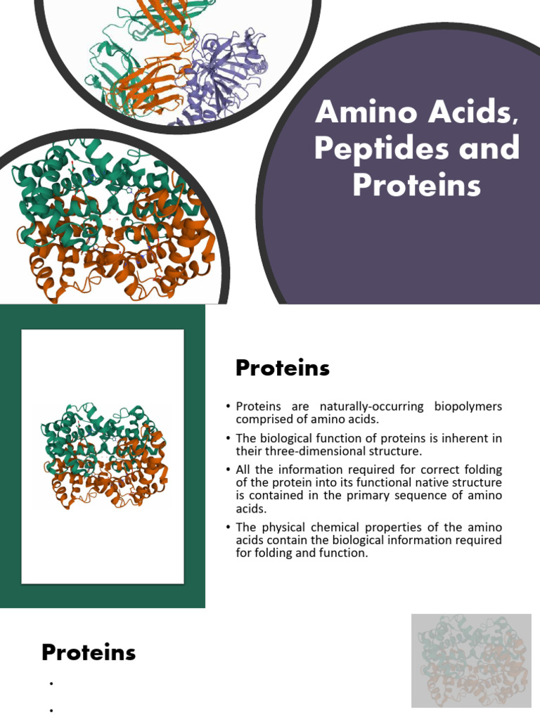 CHY 43 Amino Acids and Peptides | PDF