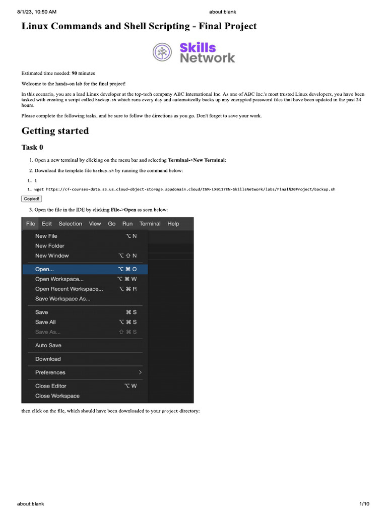 Finel Project Solution | PDF