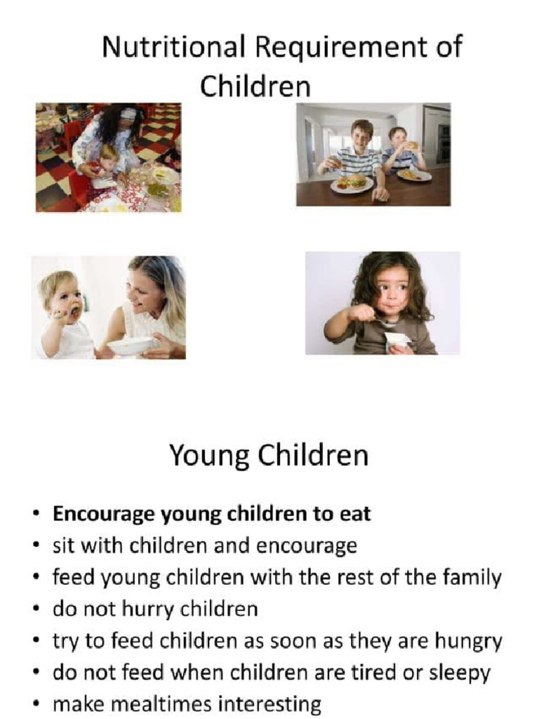 DIET PLAN FOR DIFFERENT AGE GROUP ASSIGNMENT intelligence overview