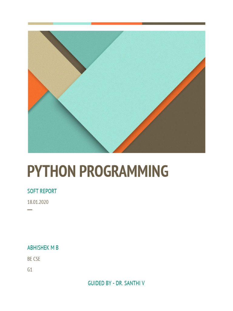 Soft Report | PDF