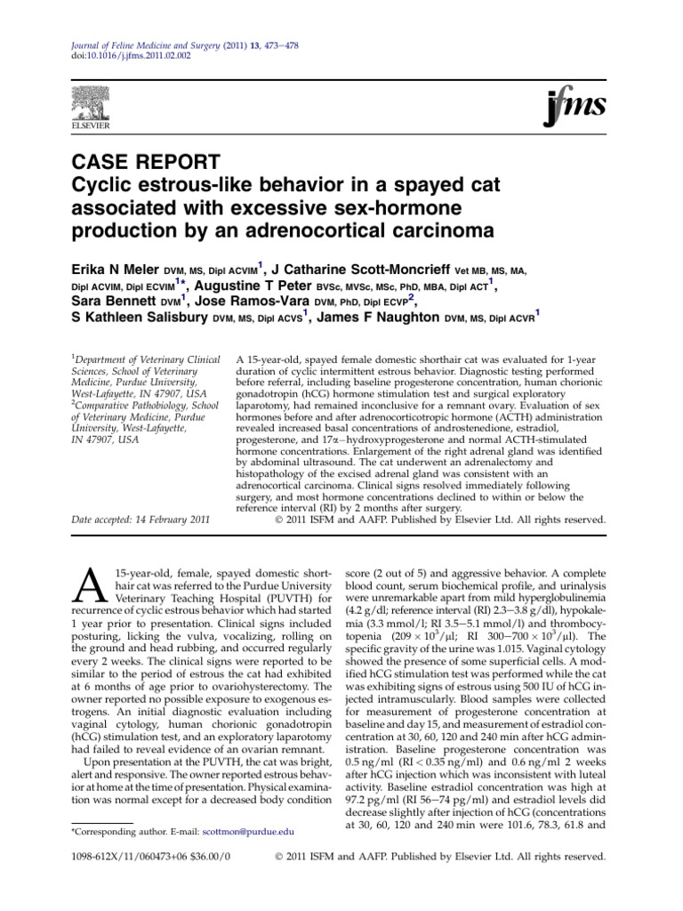 Cyclic Estrous Behavior in Spayed Cat | PDF | Human Chorionic ...