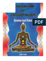 Kundalini Ve Cakralar