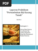 Download Pertumbuhan Kacang Tanah by Dennis Setiadi Nip SN76215299 doc pdf