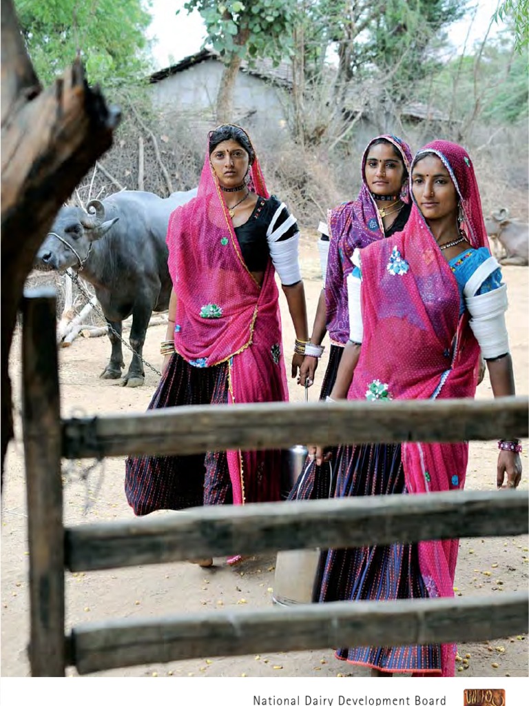 NDDB Annual Report 2010 2011 | PDF | Dairy Farming | Vaccines