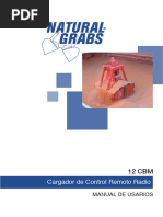 MICLIC Mine Clearing System Overview | PDF | Land Mine | Naval Mine