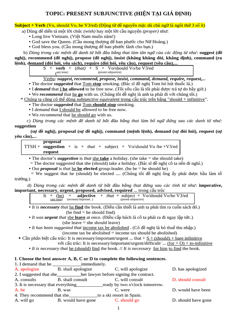 Topic. Present Subjuctive | PDF | Linguistics | Linguistic Morphology
