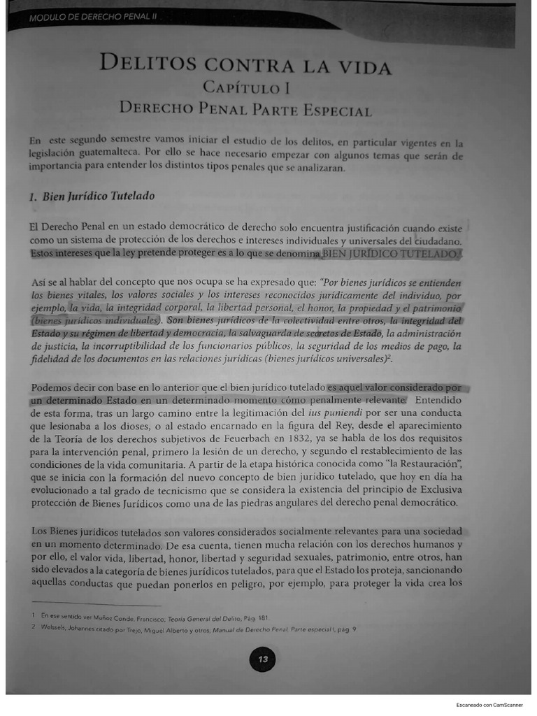 Libro De Derecho Penal Ii Pdf