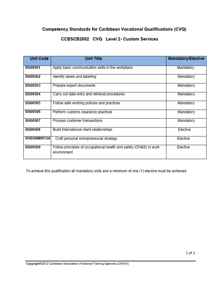 Custom Services (CCBSCB2002) - Level 2 | PDF