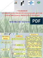 1o Workshop diversificação produtiva da cana-de-açúcar