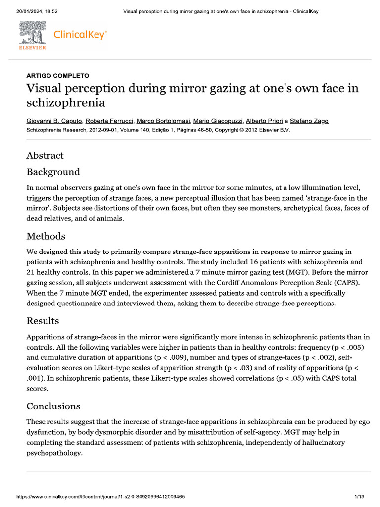 Visual perception during mirror gazing at ones own face in