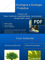 24122588 Enrique Leff Ppt Saber Ambiental Cap 3 Pag 42 55