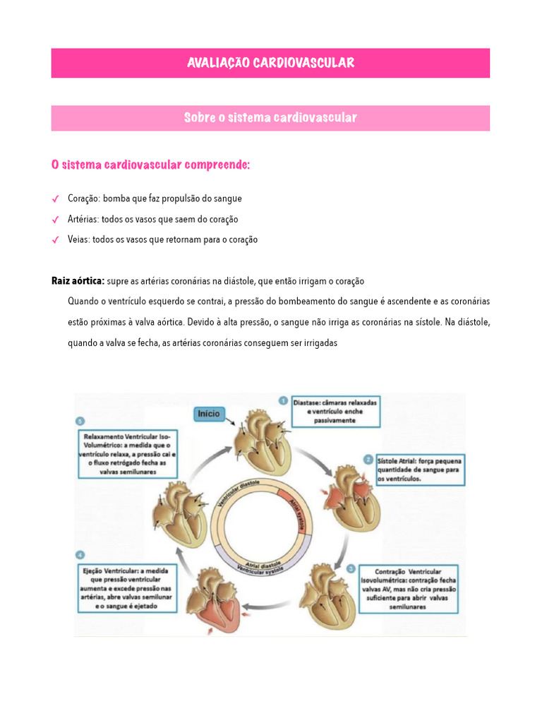 Avaliação Cardiovascular - Cardio | PDF
