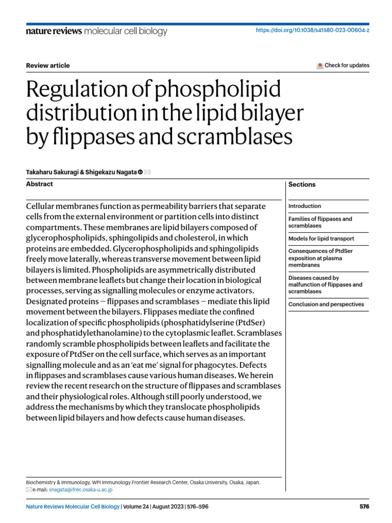 Regulation of Phospholipid Distribution in The Lipid Bilayer by ...