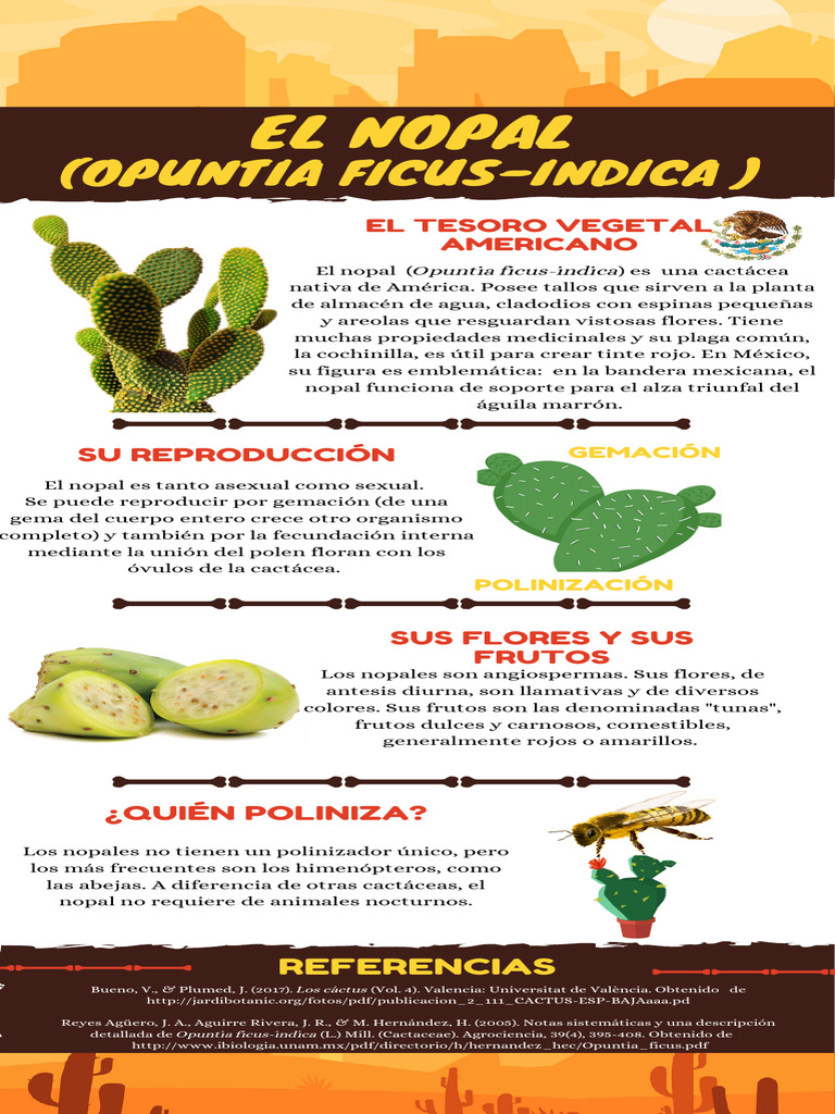 CACTUS | PDF