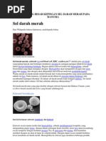 Download Bahan Skripsi Menghitung Besar Kepingan Sel Darah Merah Pada Manusia by Elfa Febrina SN76226590 doc pdf