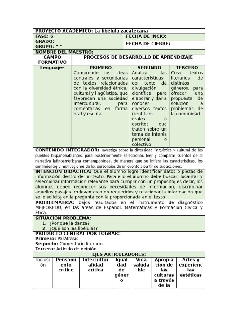 Formato de Planeacion | PDF