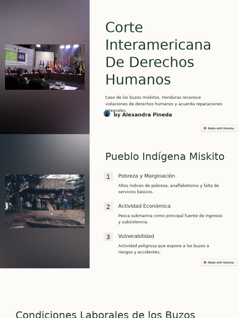 Corte Interamericana de Derechos Humanos | PDF
