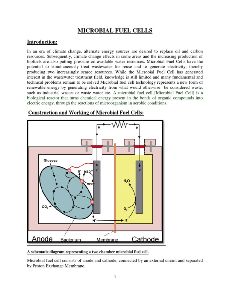 Microbial Fuel Cells: Energy from Waste | PDF | Electron Transport ...