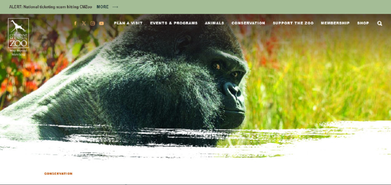 FireShot Capture 252 - Endangered Species at The Zoo - CMZoo | PDF
