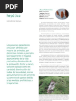Download Fasciola Hepatica by Axoncomunicacion SN7623127 doc pdf