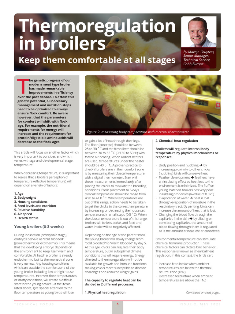 Tech Focus May 22 Thermo Regulation in Broilers | PDF