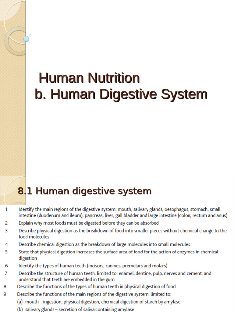 Human Digestion Pdf